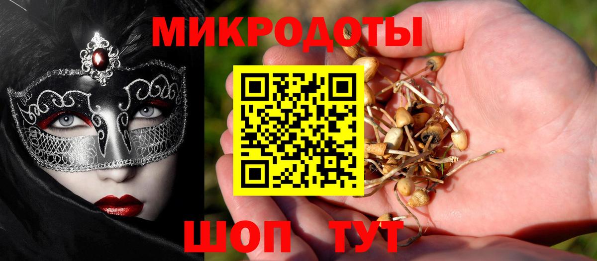 Галлюциногенные грибы Cubensis Губкин