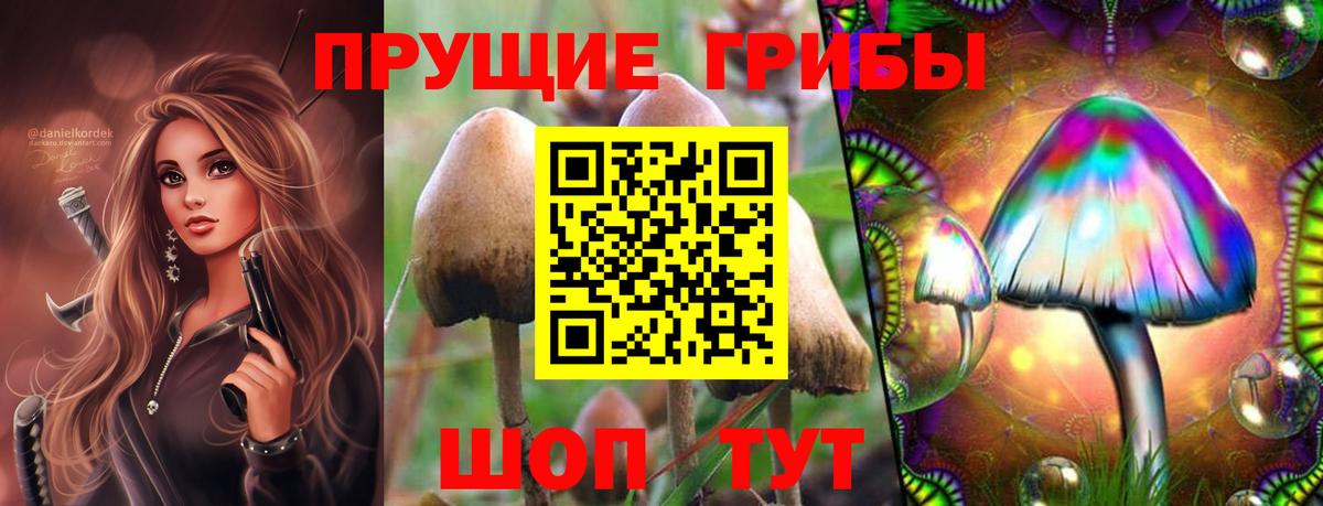 Псилоцибиновые грибы Psilocybine cubensis  Вход с VPN  Галлюциногенные грибы мухоморы  что такое наркотик  Губкин 