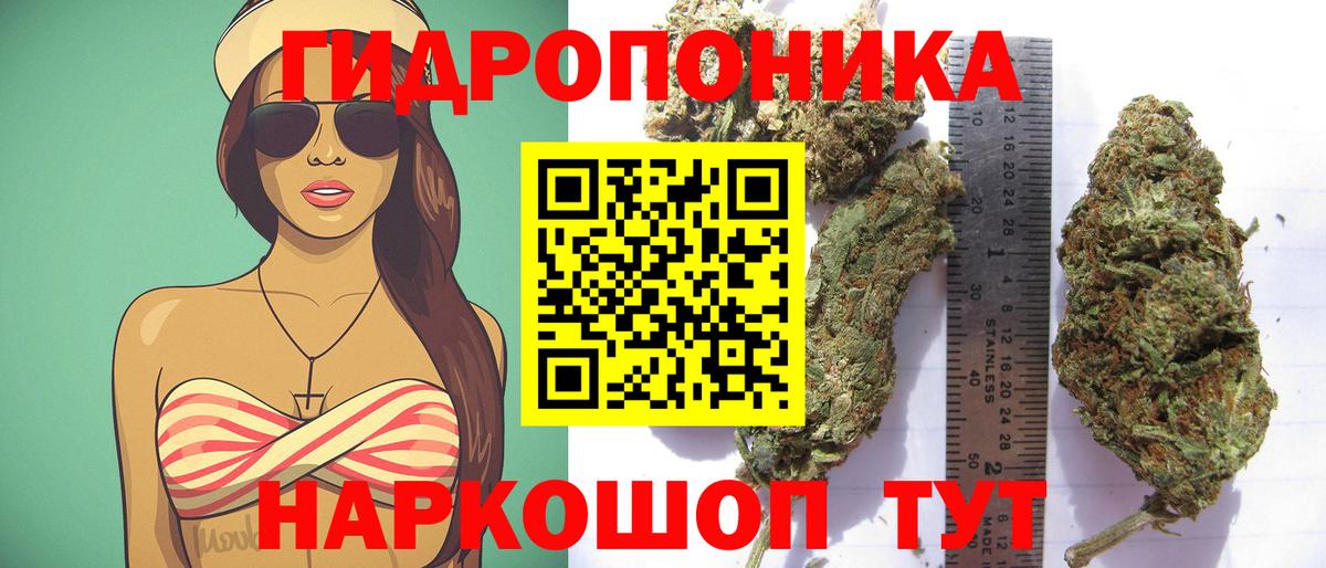 Конопля марихуана Губкин